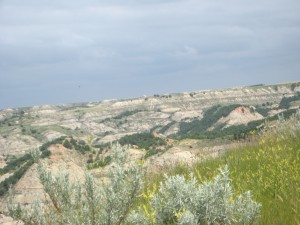 Gorgeous Painted Canyon